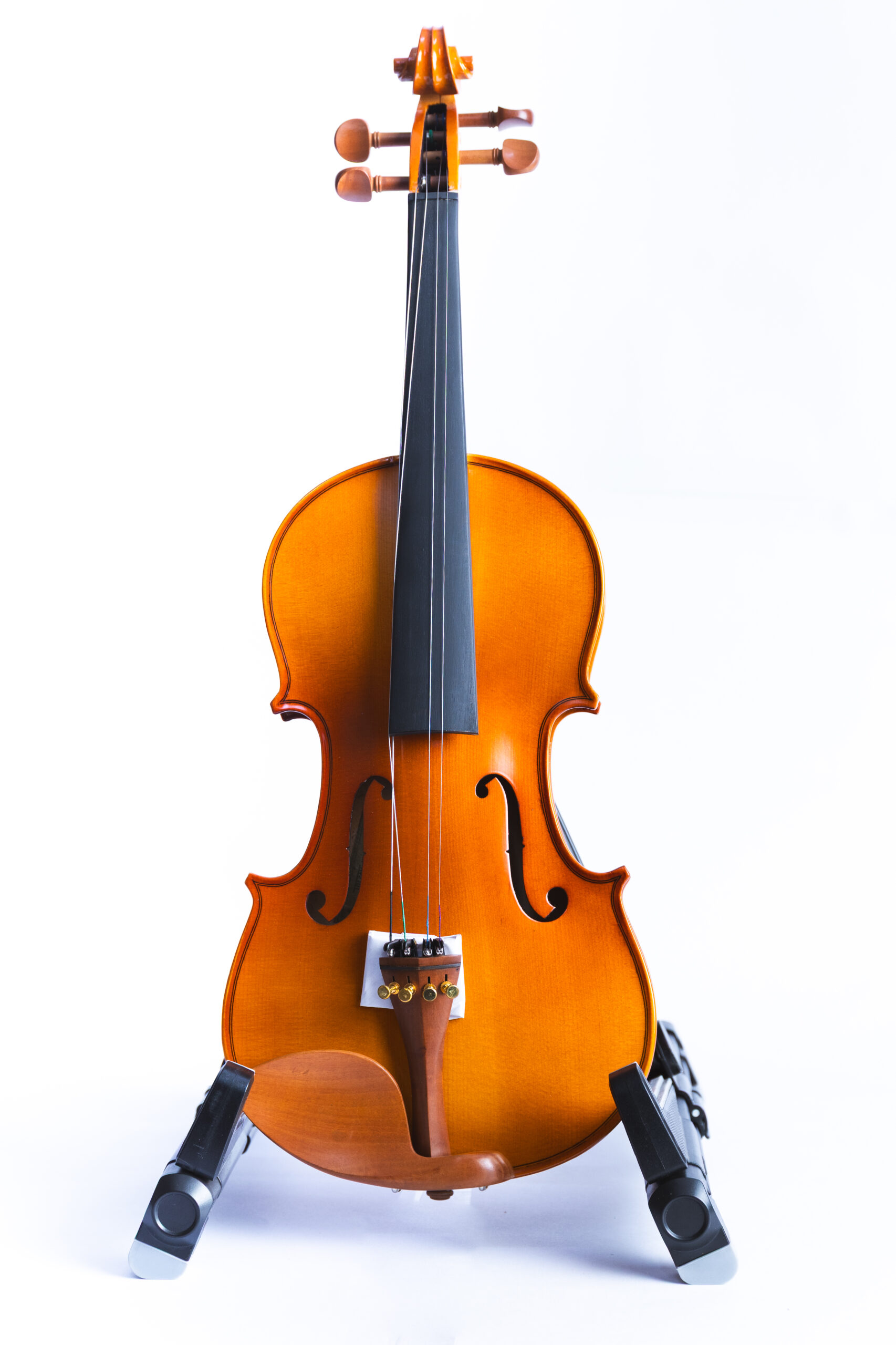 VIEHV2101 VIOLIN VIECO HV2101 4/4 - Imagen 1