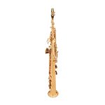 SAXOFON SOPRANO DORADO RECTO SINGERS DAY REF 2023