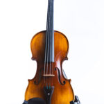 VIOLIN VIECO HV4251 4/4