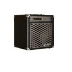 AMPLIFICADOR RANDALL PARA BAJO DE 35 W BLACK CHROME
